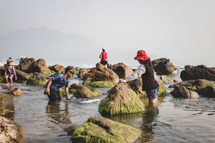 Kids exploring mossy rocks at a Vietnamese seashore, enjoying a sunny outdoor adventure.